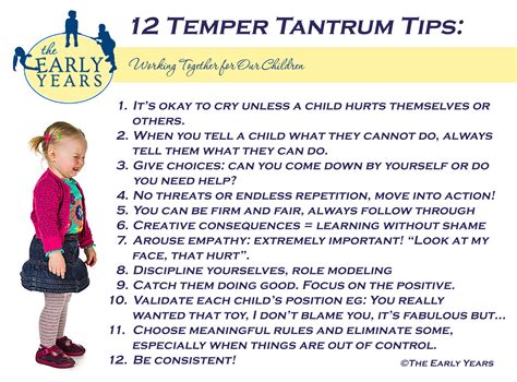 What Is Throw Tantrum Mean