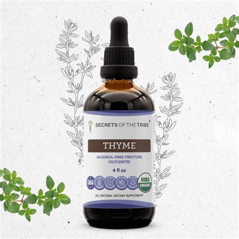 What Is Thymus Extract Used For