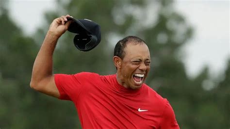 what is tiger woods new logo