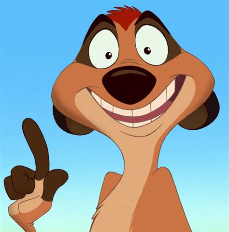 what is timon in english
