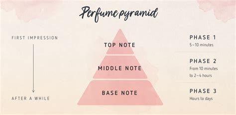 What Is Top Notes Middle Notes In Perfume