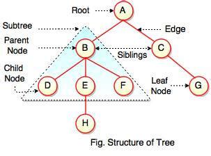 what is tree data structure in hindi