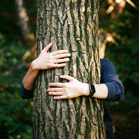 What Is Tree-Hugging Definition