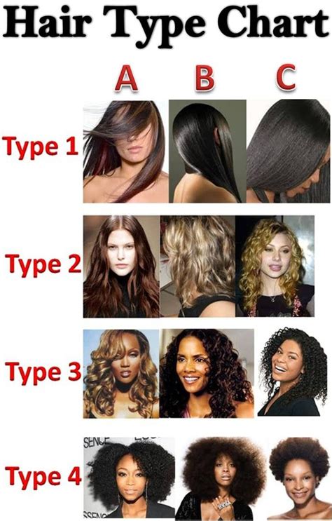  79 Popular What Is Type 1 And 2 Hair Trend This Years