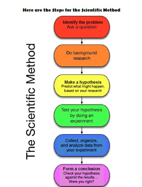 what is typically the first step in the scientific method quizlet