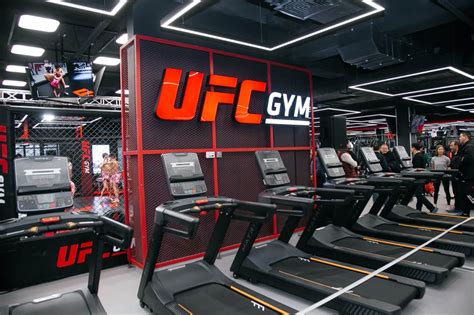 what is ufc gym