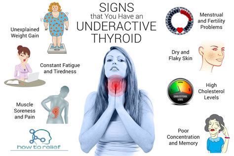 what is underactive thyroid levels