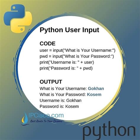 what is user input in python