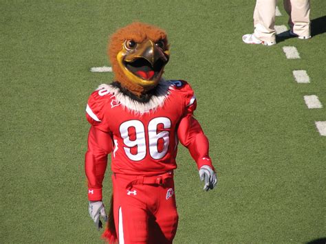 what is utah's mascot