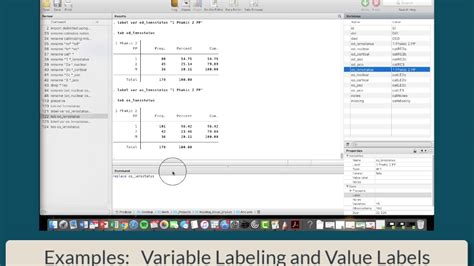 What Is Value Label In Stata