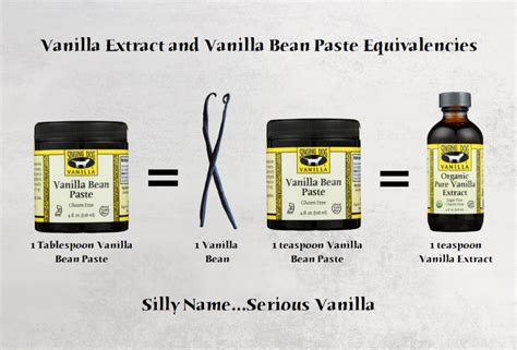 What Is Vanilla Bean Paste Vs Vanilla Extract