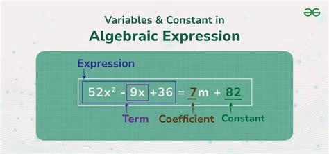 what is variable constant and algebraic expression
