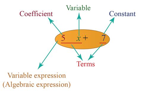 what is variable in algebraic expression
