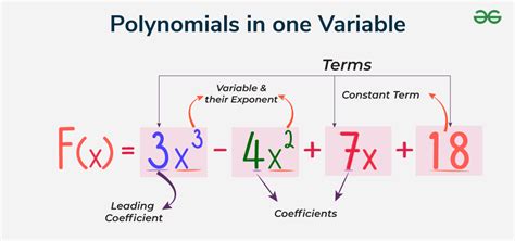what is variable in polynomial