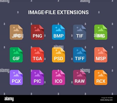 What Is Vector File Extension