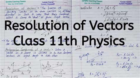 what is vector in physics class 11