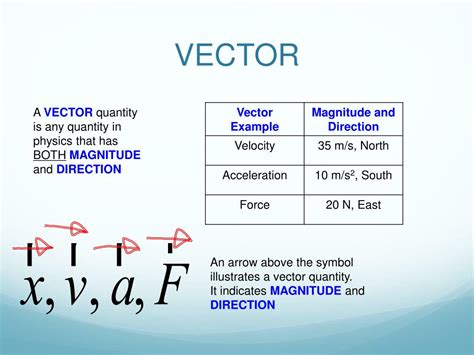 what is vector physical science