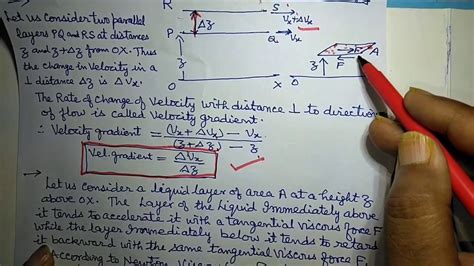 what is velocity gradient in physics class 11