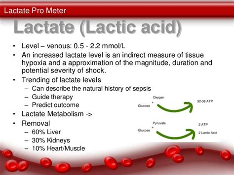 what is venous blood lactate