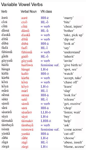 what is verb in hausa language with examples