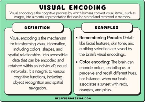 what is visual encoding in data visualization
