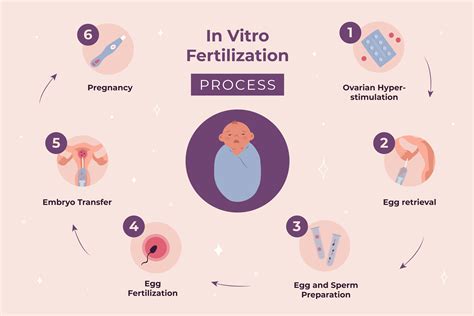 what is vitro fertilization ivf