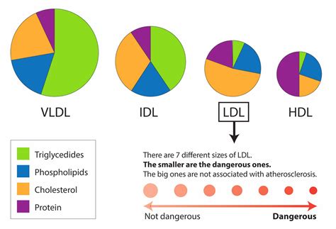 what is vldl cholesterol means