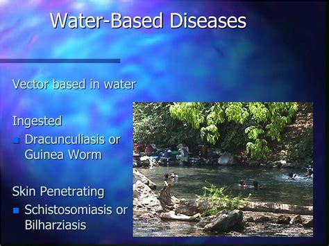 what is water based meaning