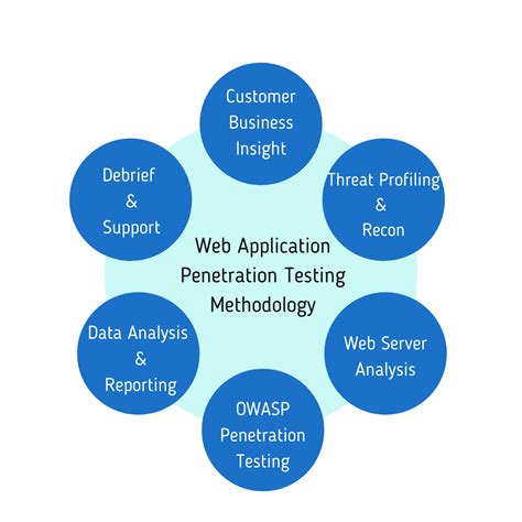 what is web application penetration testing