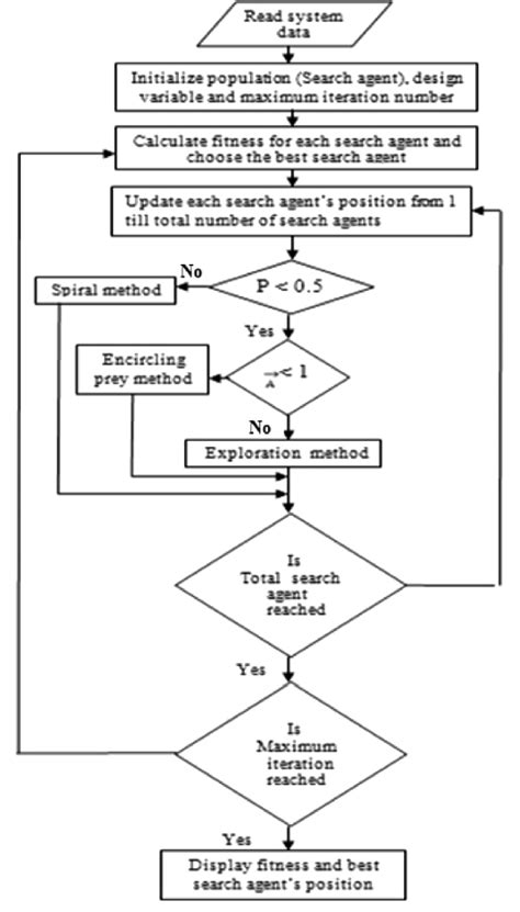 what is whale optimization algorithm