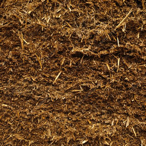 What Is Wheat Silage
