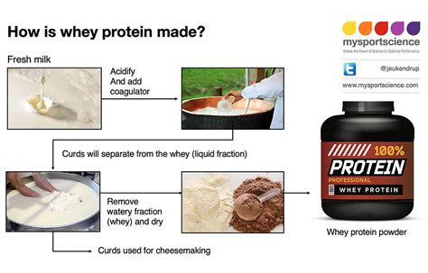 what is whey isolate made of
