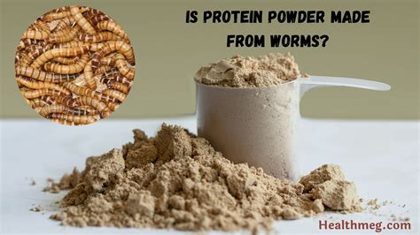what is whey protein made of mealworms