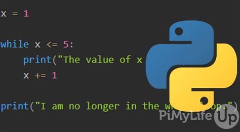 what is while loop in python class 8