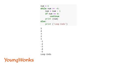 what is while loop in python example with example