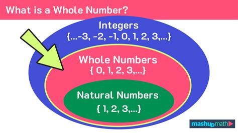 what is whole number definition with example