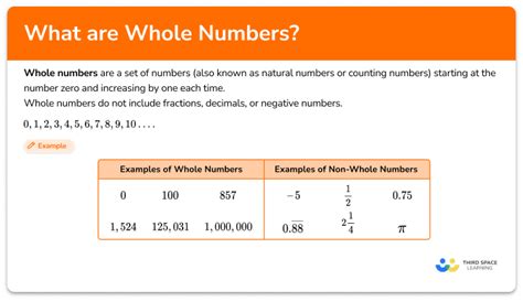 what is whole number with example class 9