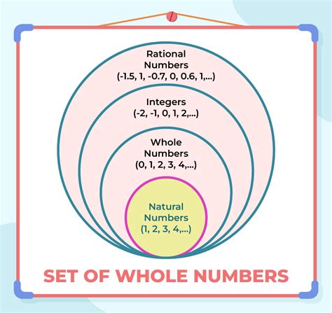 what is whole number write example