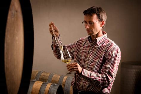 What Is Winemaker Called