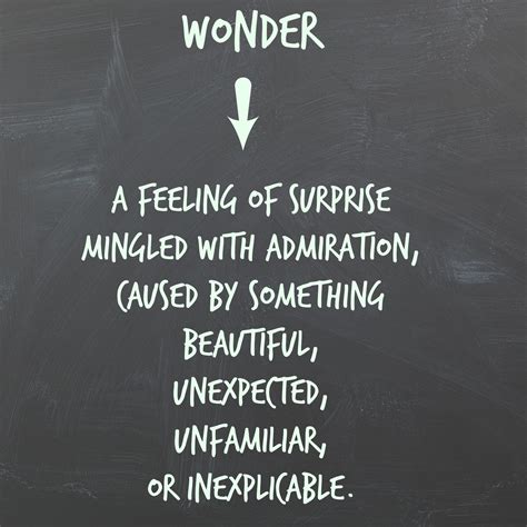 what is wonder means