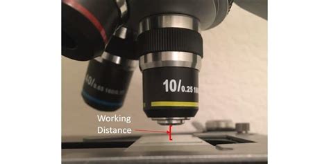 What Is Working Distance In Microscope
