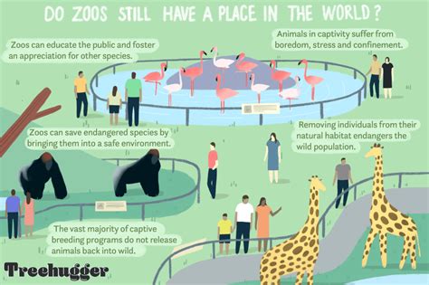 What Is Wrong With Keeping Animals In Zoos