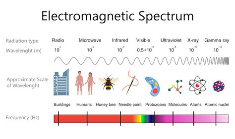 What Is X Ray Dye Made Of