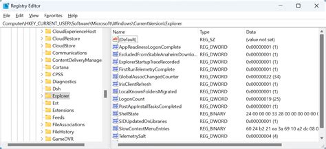 What is Xuanzhi Folder in Registry Editor?