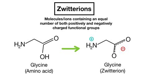 what is zwitter ion explain with example