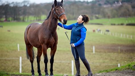 what it takes to own a horse