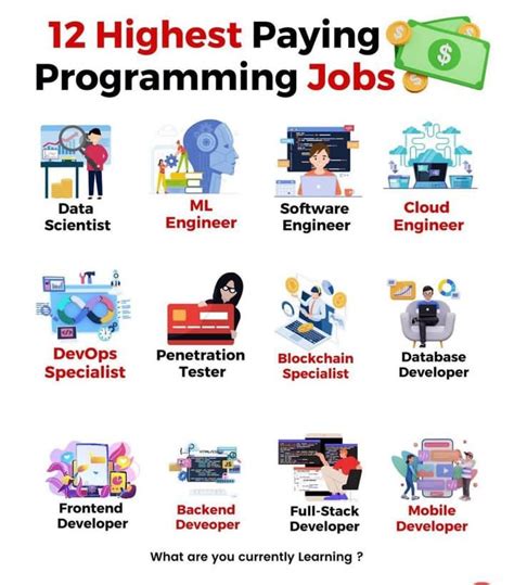 what jobs can i get with computer programming