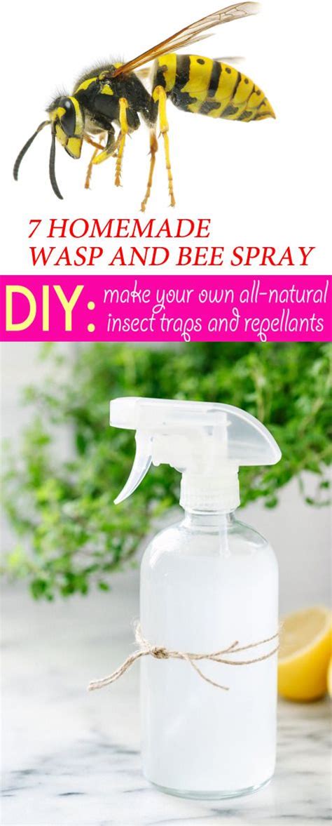 what kills wasps instantly diy