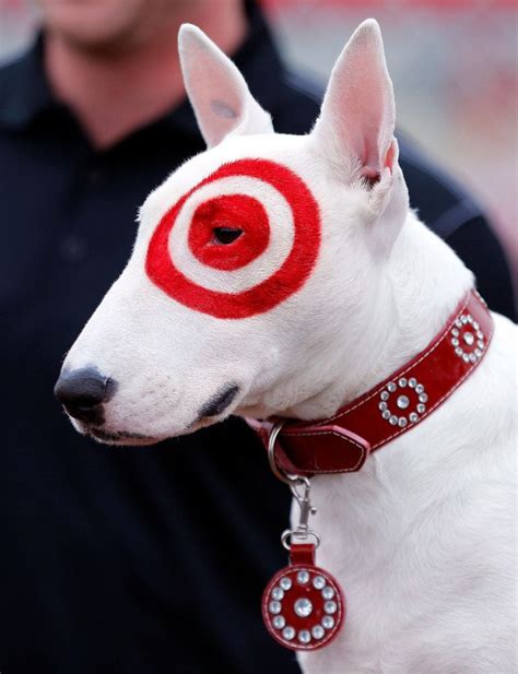 what kind of dog is bullseye