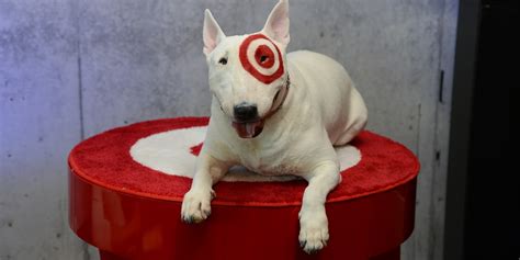 what kind of dog is bullseye from target